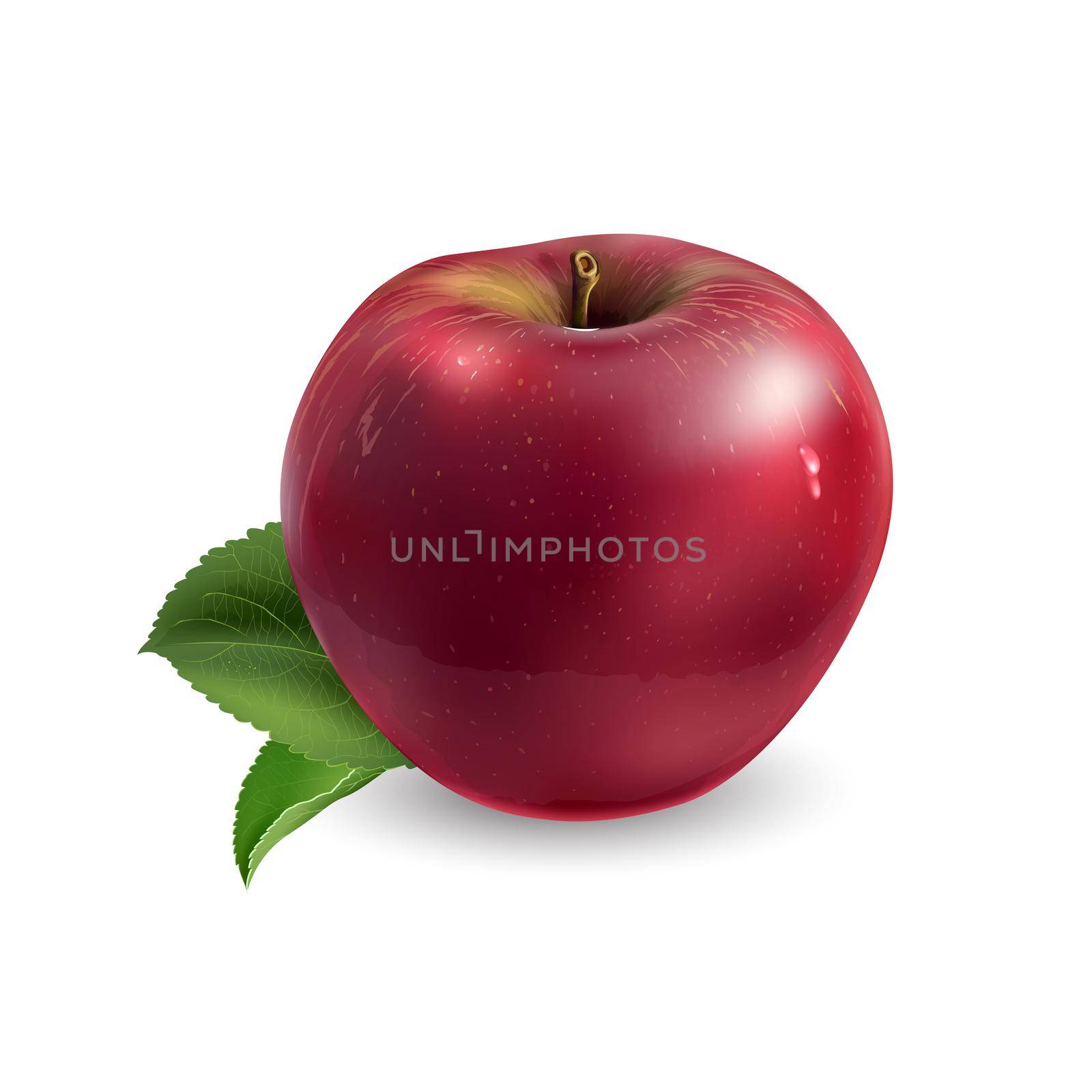 Red apple with leaves on white background. by ConceptCafe