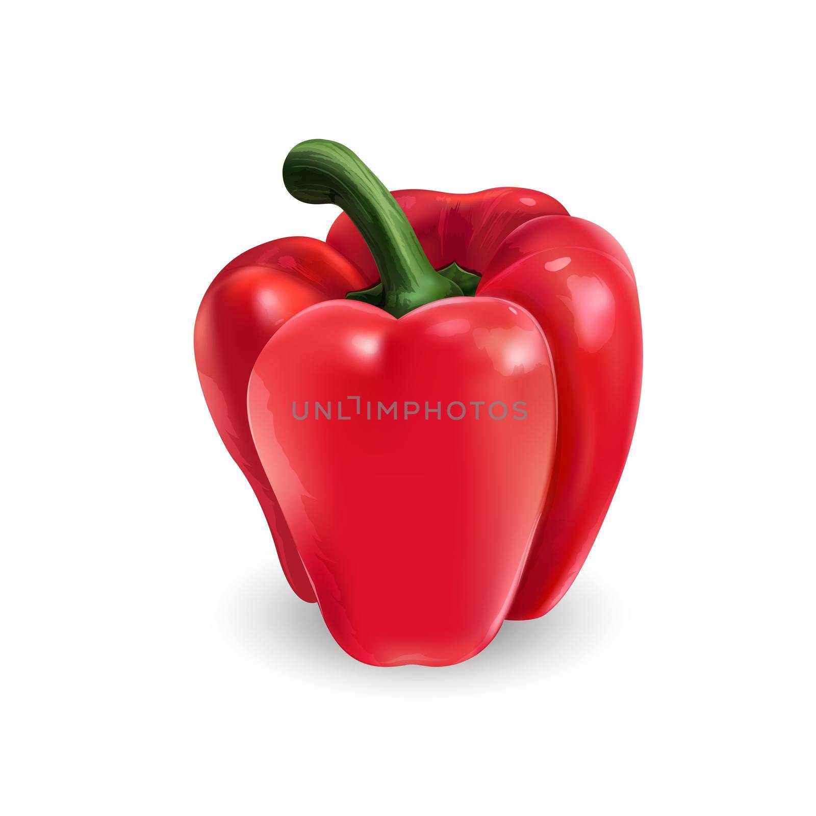 Fresh red bell pepper - healthy food design. Realistic style illustration.