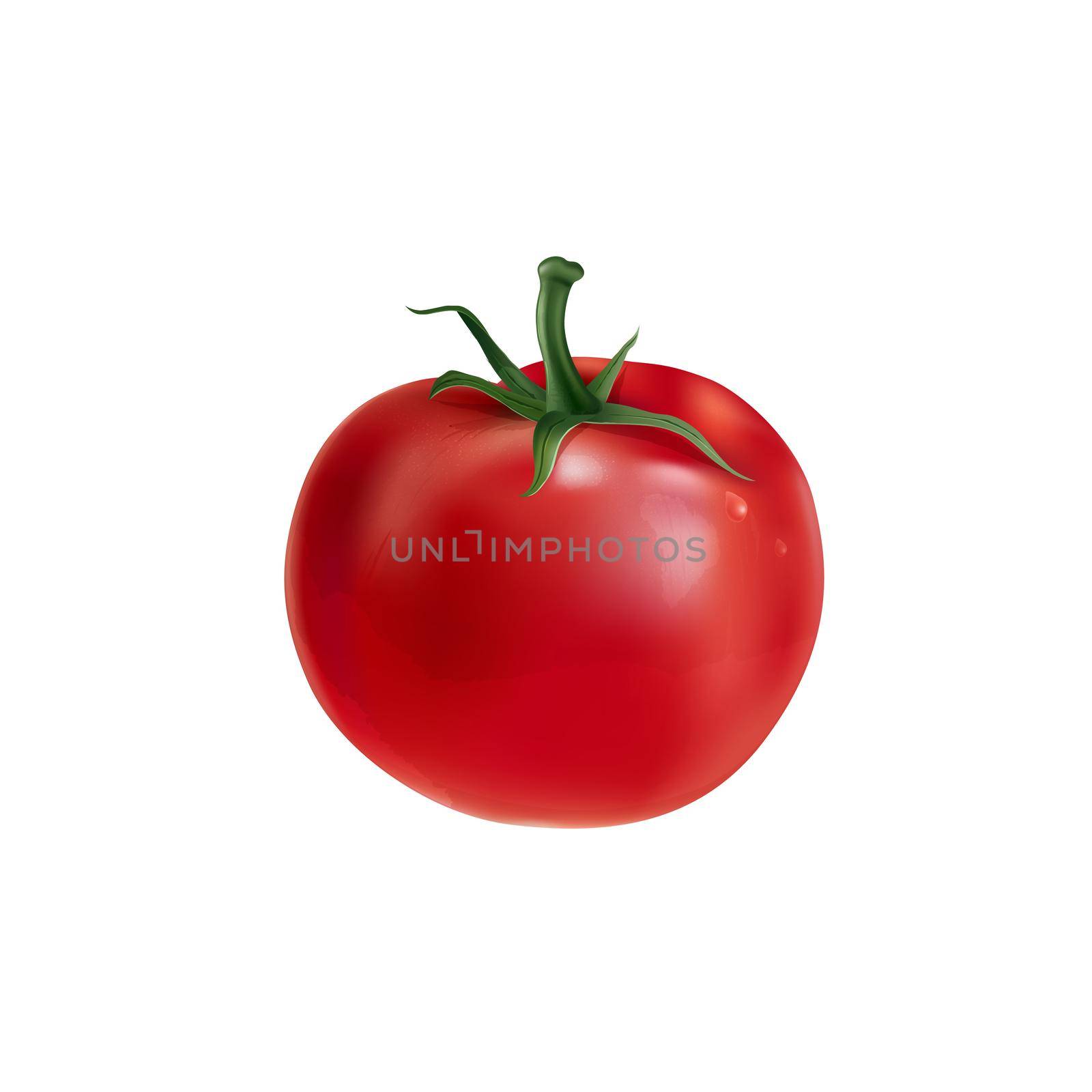 Fresh red tomatoes - healthy food design. Realistic style illustration.