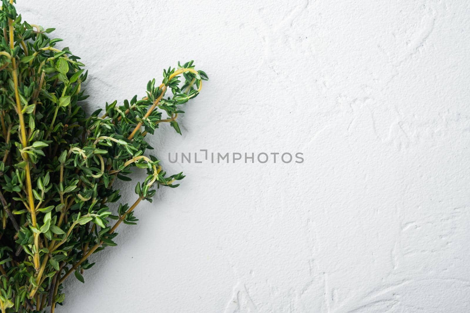 Thyme green organic bunch of herb, on white background, top view with copy space for text