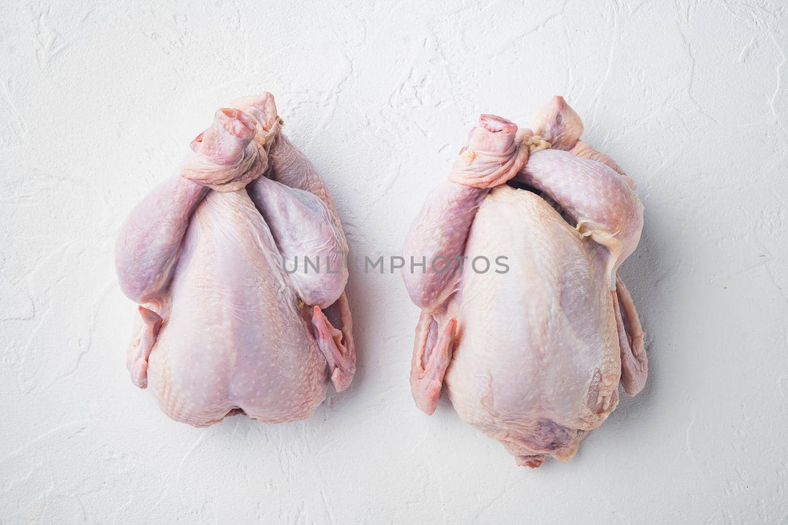 Raw small young whole chicken, on white background, top view
