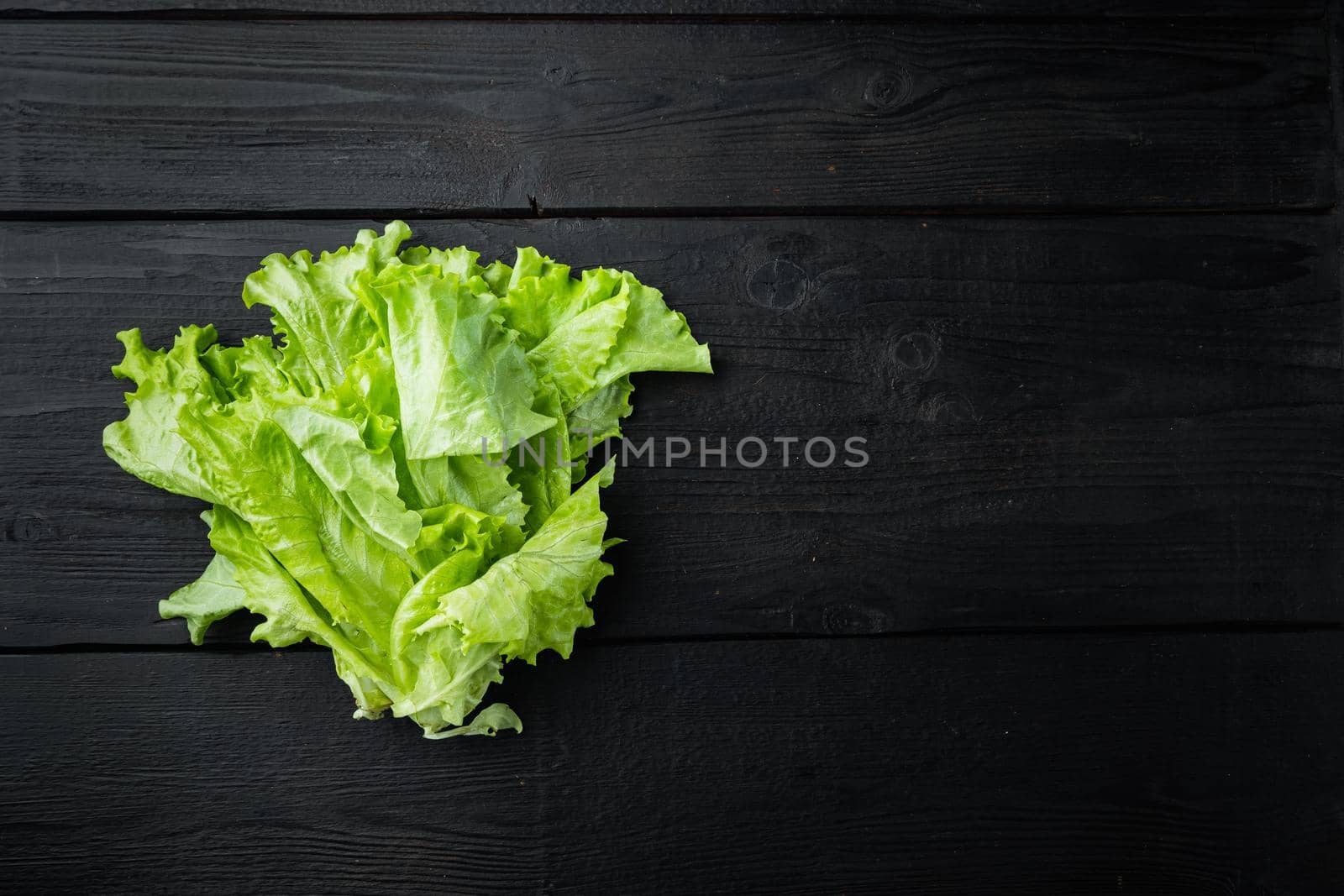 Fesh green lettuce salad organic leaves, on black wooden table with copy space for text