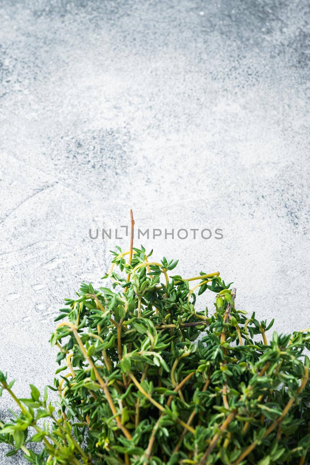 Thyme green fresh bunch, on gray background, top view with copy space for text