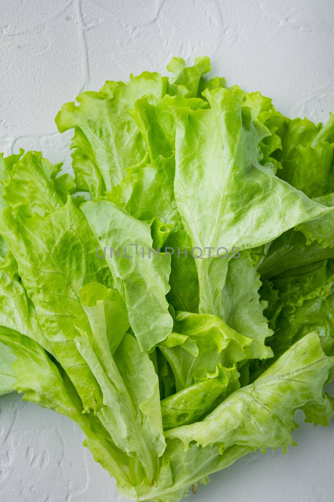 Fesh green lettuce salad organic leaves, on white background