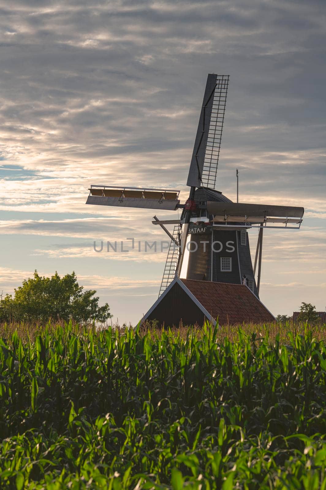 Bataaf windmill in Winterswijk in the evening sun
 by Tofotografie