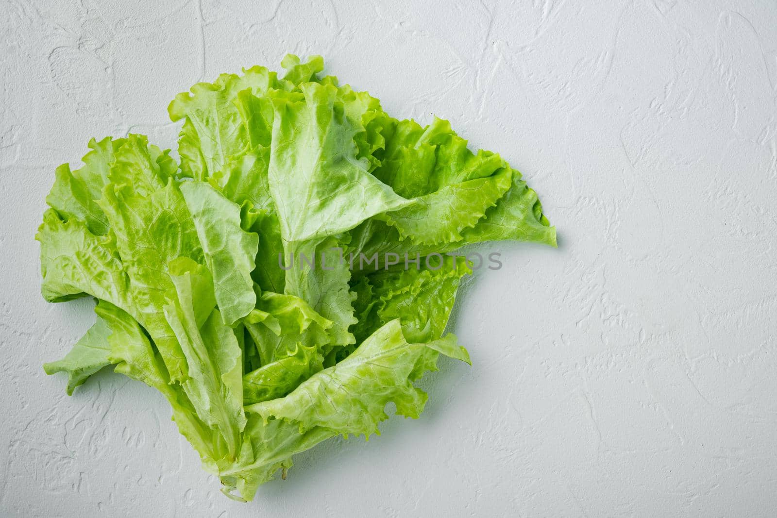 Raw organic green, oak lettuce, on white background