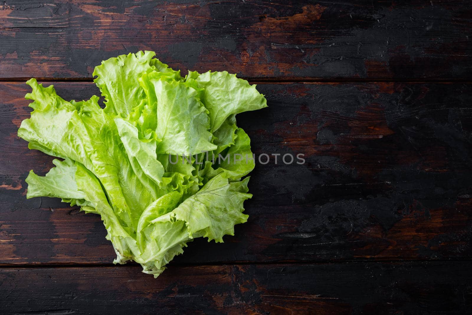 Fesh green lettuce salad organic leaves, on dark wooden background with copy space for text