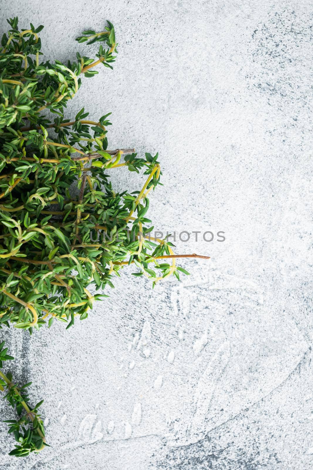 Thyme green fresh bunch, on gray background, top view with copy space for text