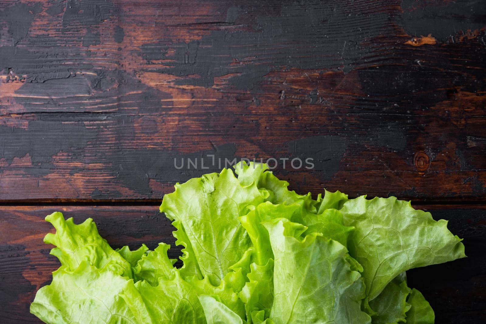 Green salad lettuce fresh leaves, on dark wooden background with copy space for text