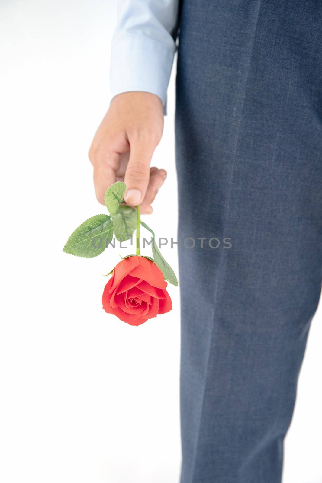 Close up photo of man holding with red rose on white background