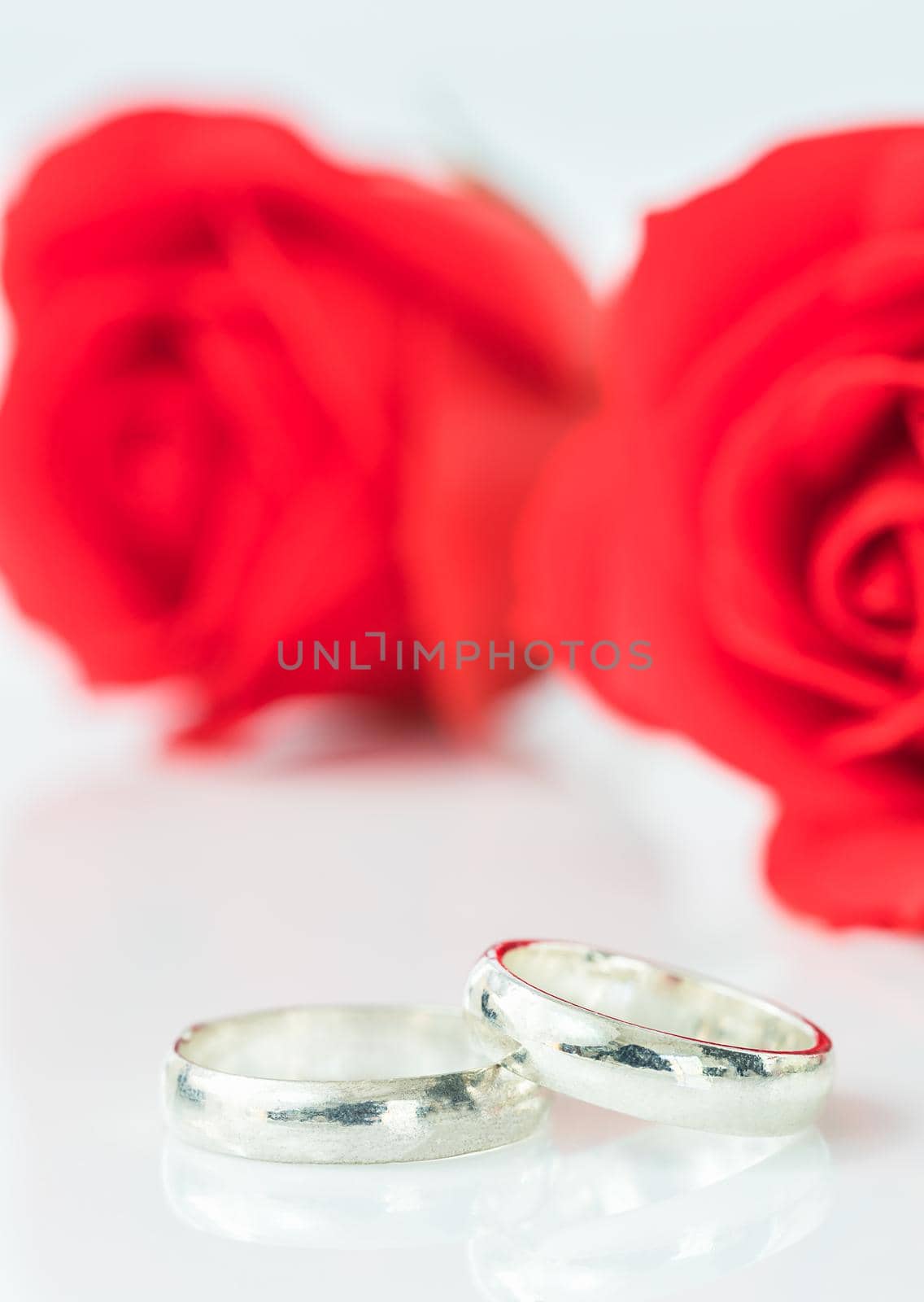 Close up red rose and wedding ring on white background, Wedding concept with roses and ring