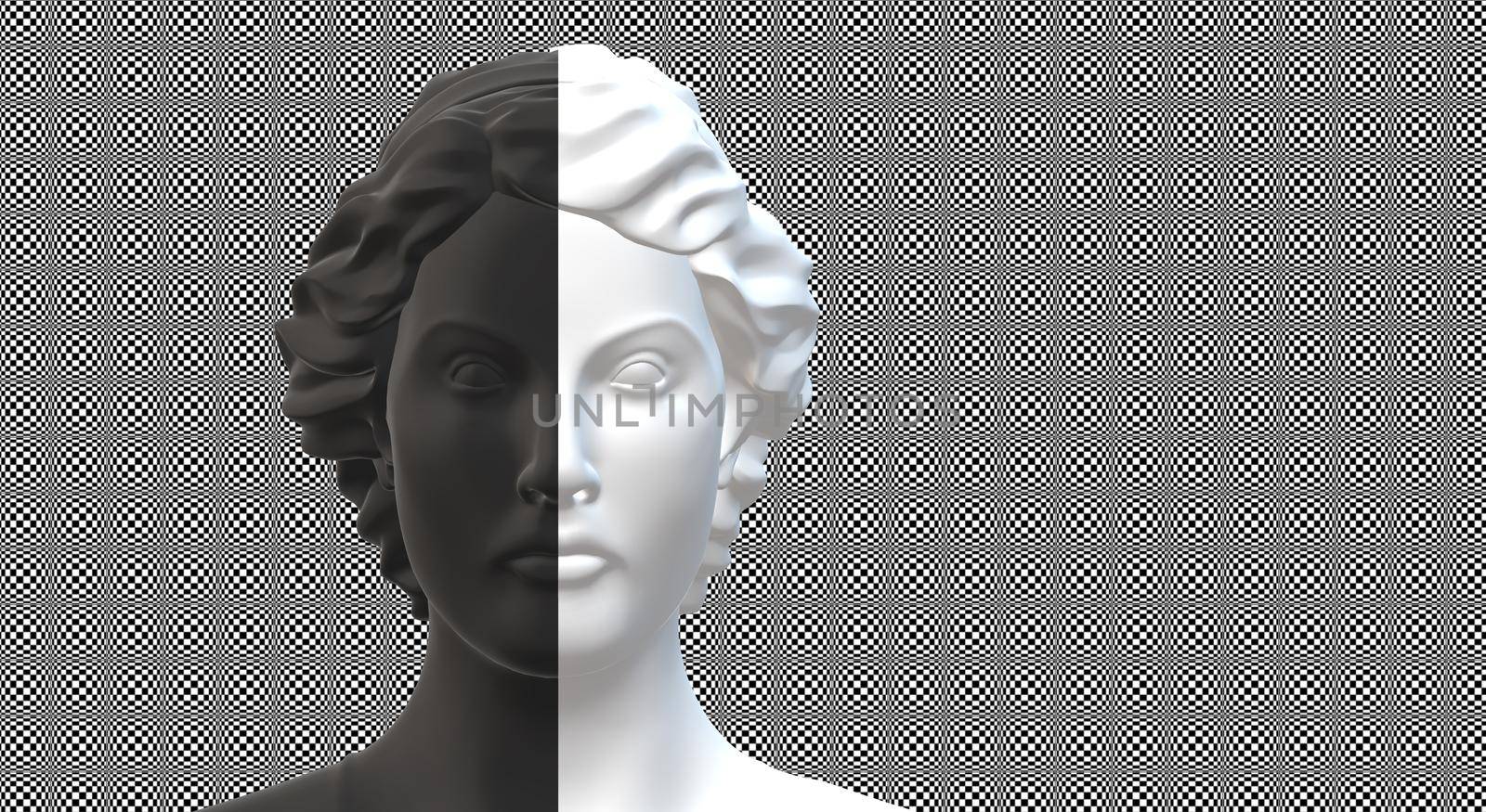 personality, bipolar, split personality concept. Female silhouette in black white on illusion background. 3D render