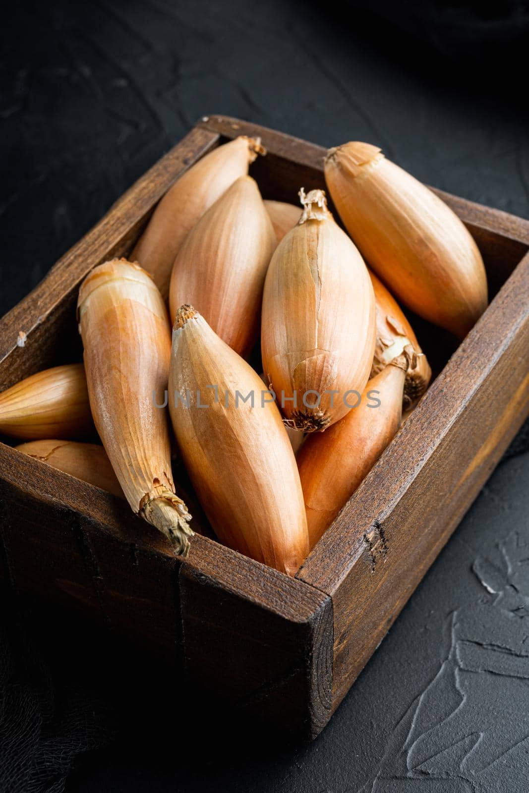 Raw whole baby shallot onion, on black textured background