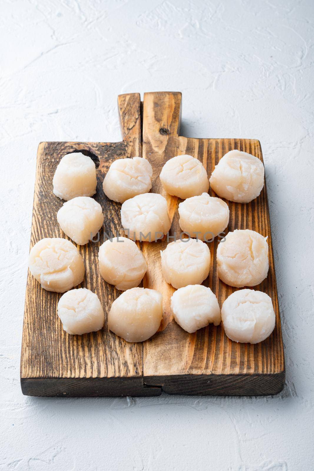 Scallops fresh meat, on white textured background