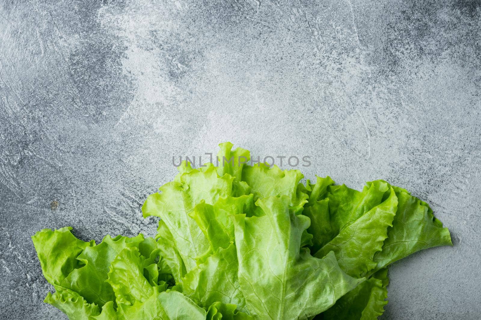 Fesh green lettuce salad organic leaves, on gray background