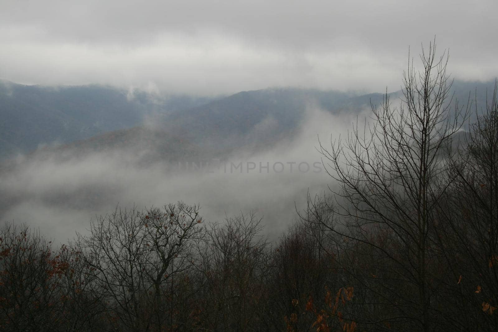 Blue Ridge Mountains, North Carolina