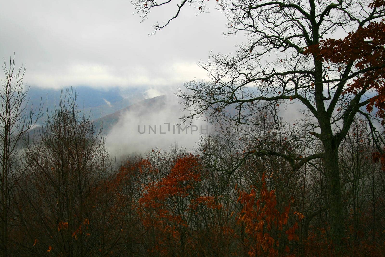 Blue Ridge Mountains, North Carolina