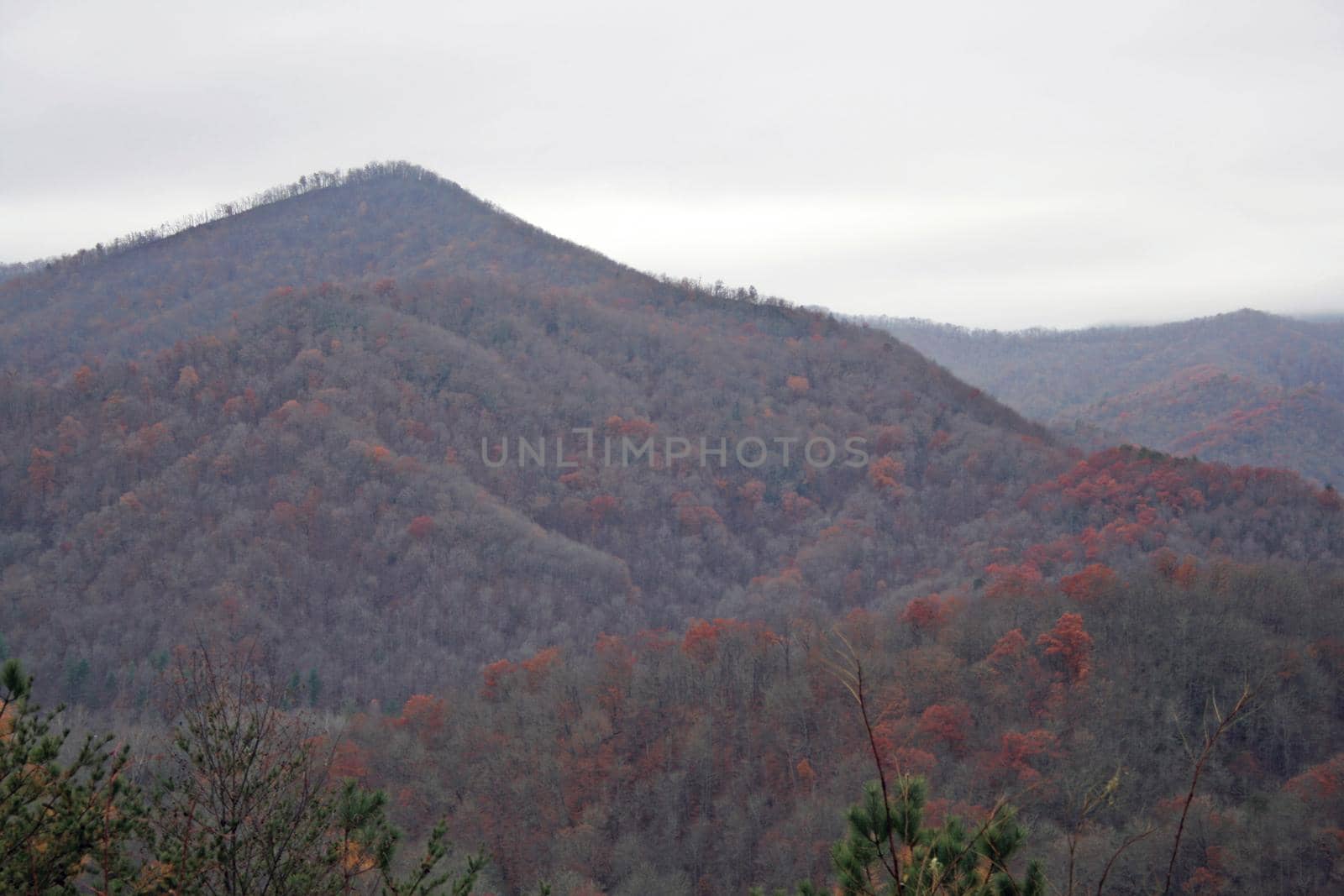 Blue Ridge Mountains, North Carolina