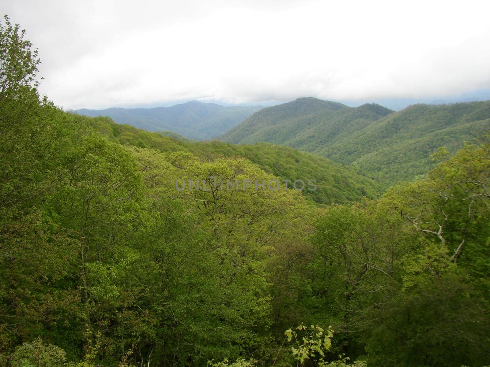 Blue Ridge Mountains, North Carolina