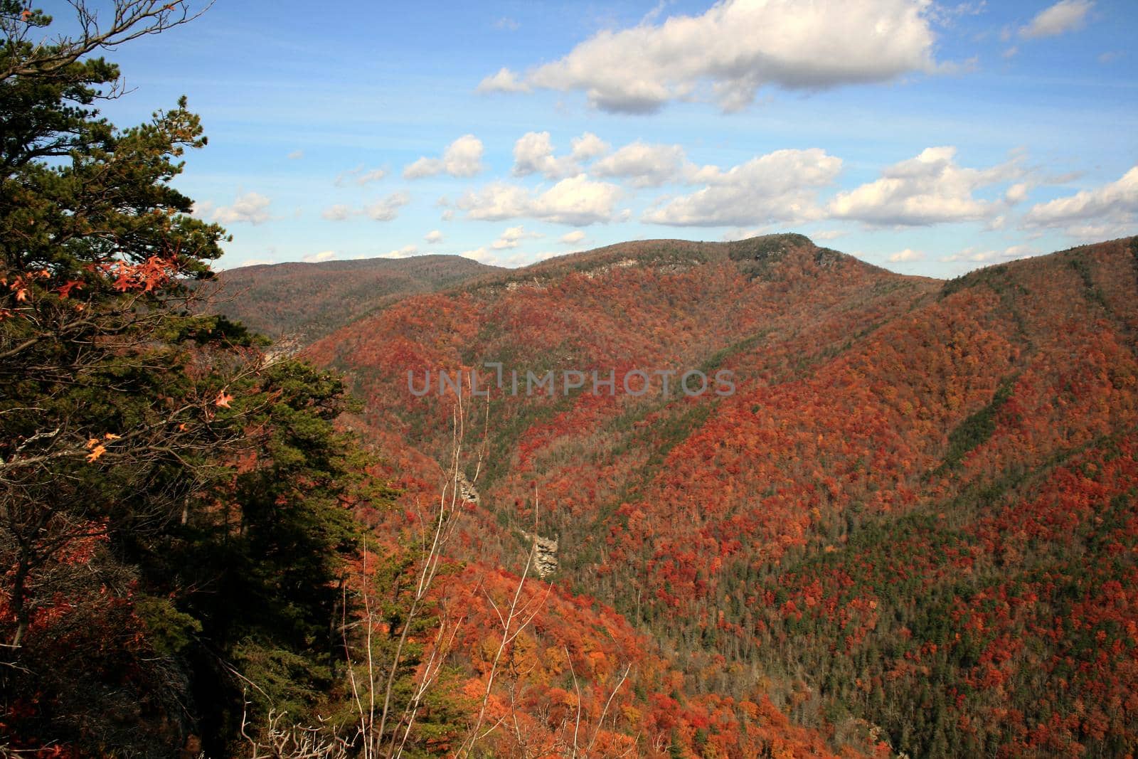 Blue Ridge Mountains, North Carolina