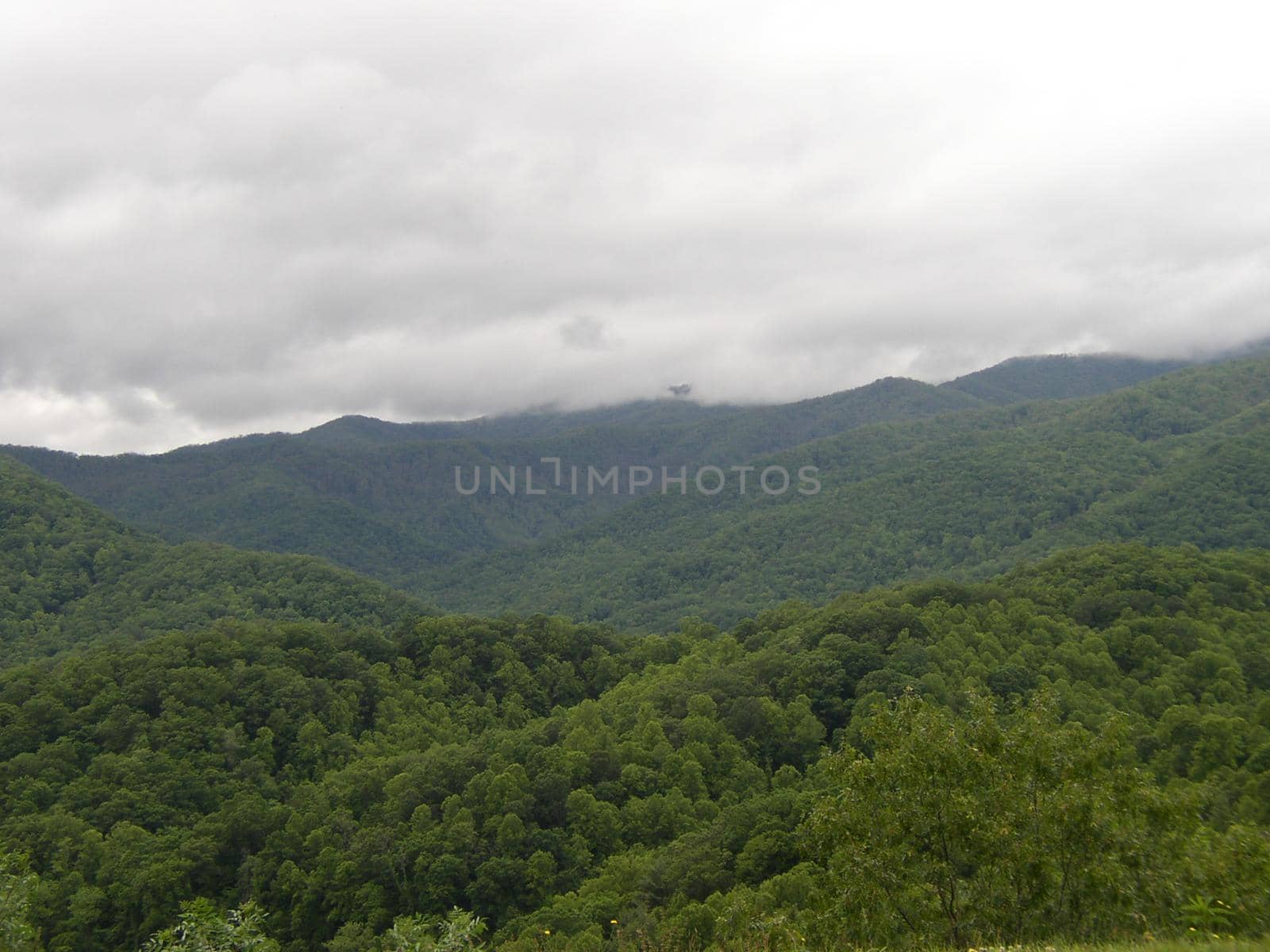 Blue Ridge Mountains, North Carolina