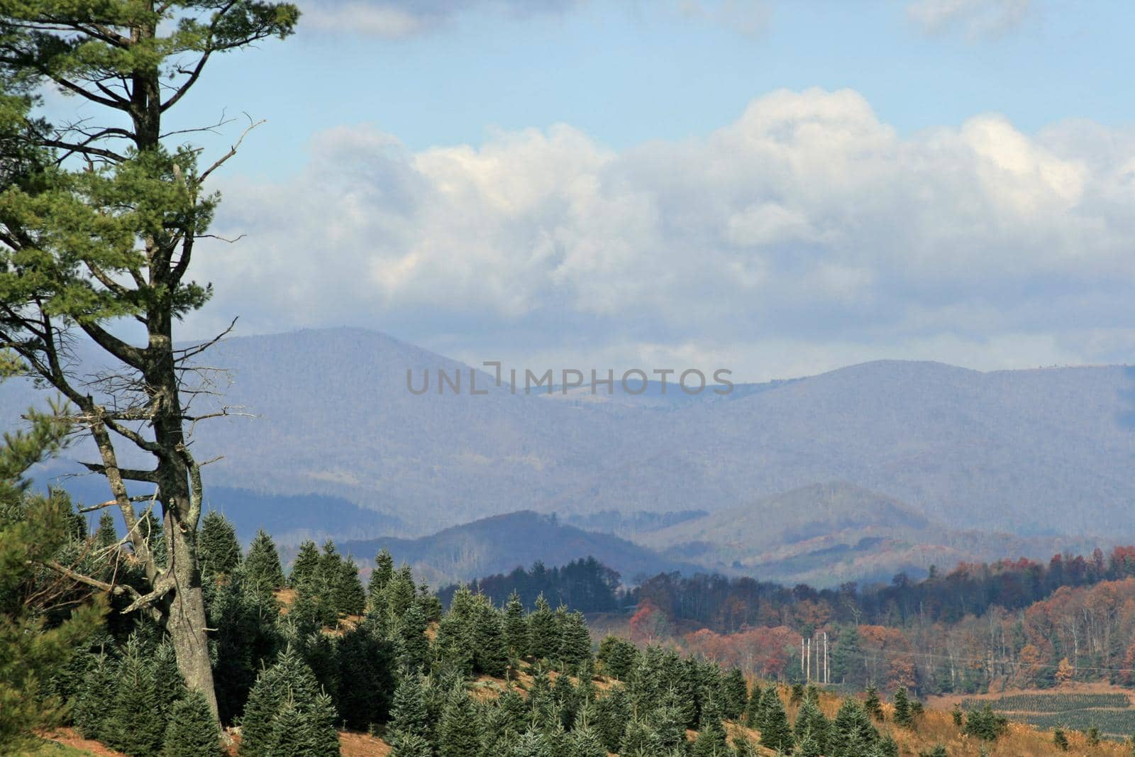 Blue Ridge Mountains, North Carolina