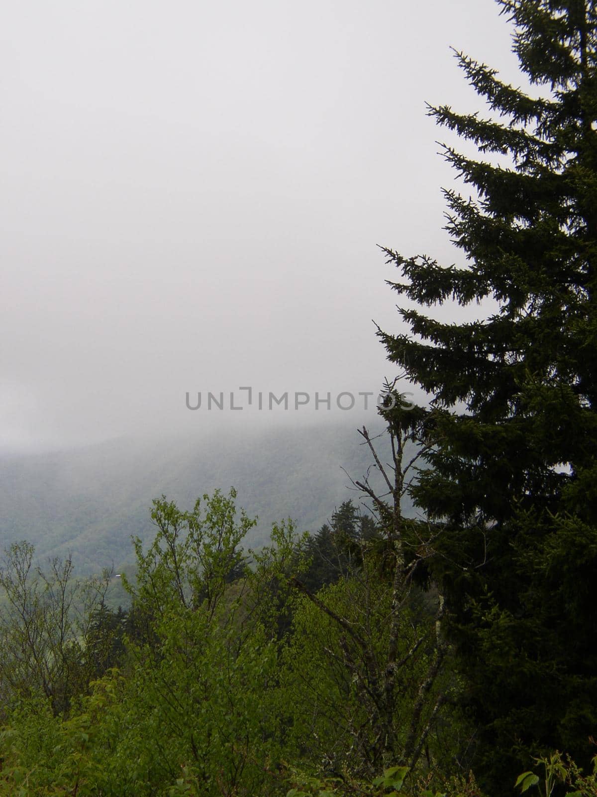 Blue Ridge Mountains, North Carolina