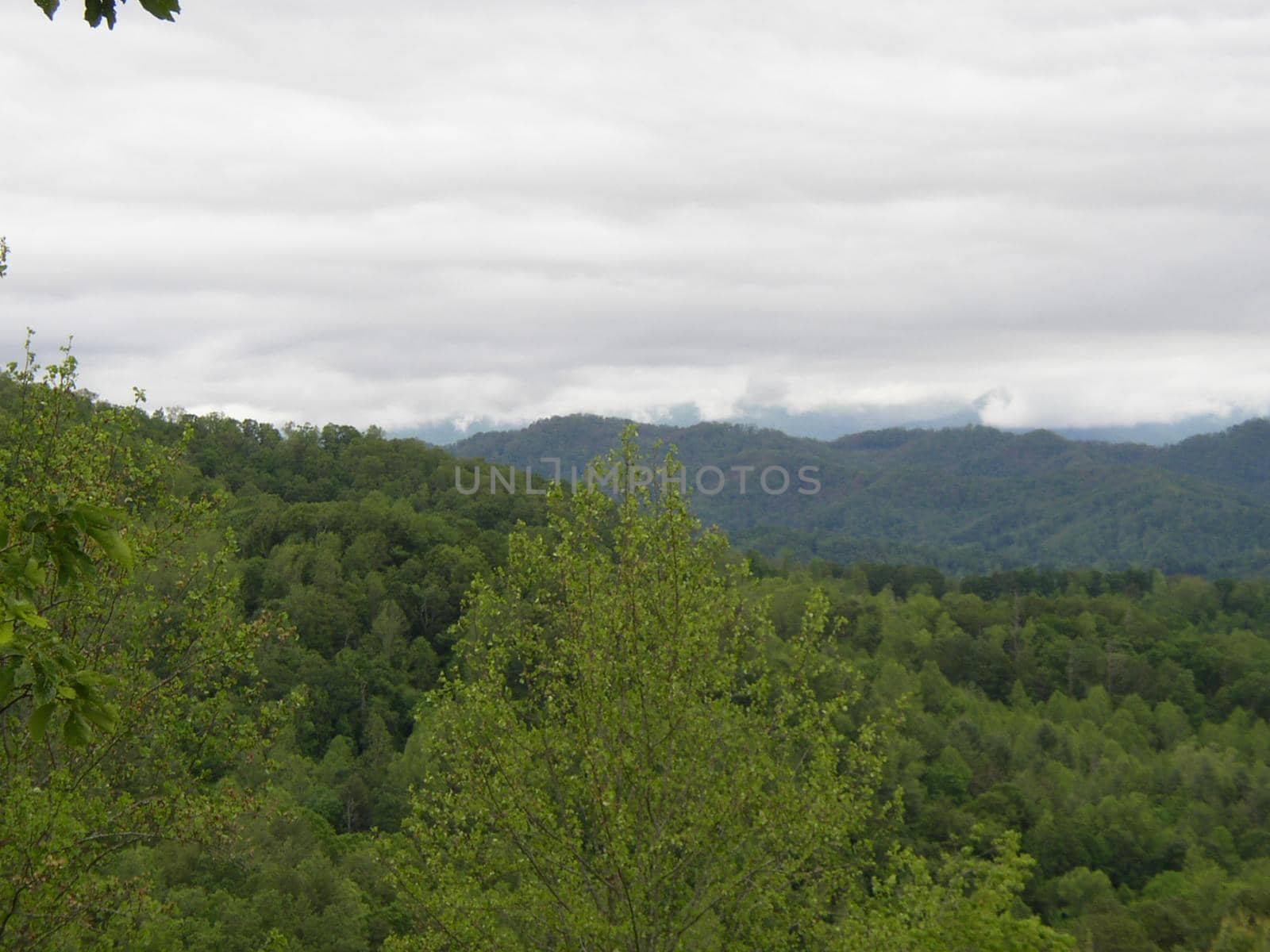 Blue Ridge Mountains, North Carolina