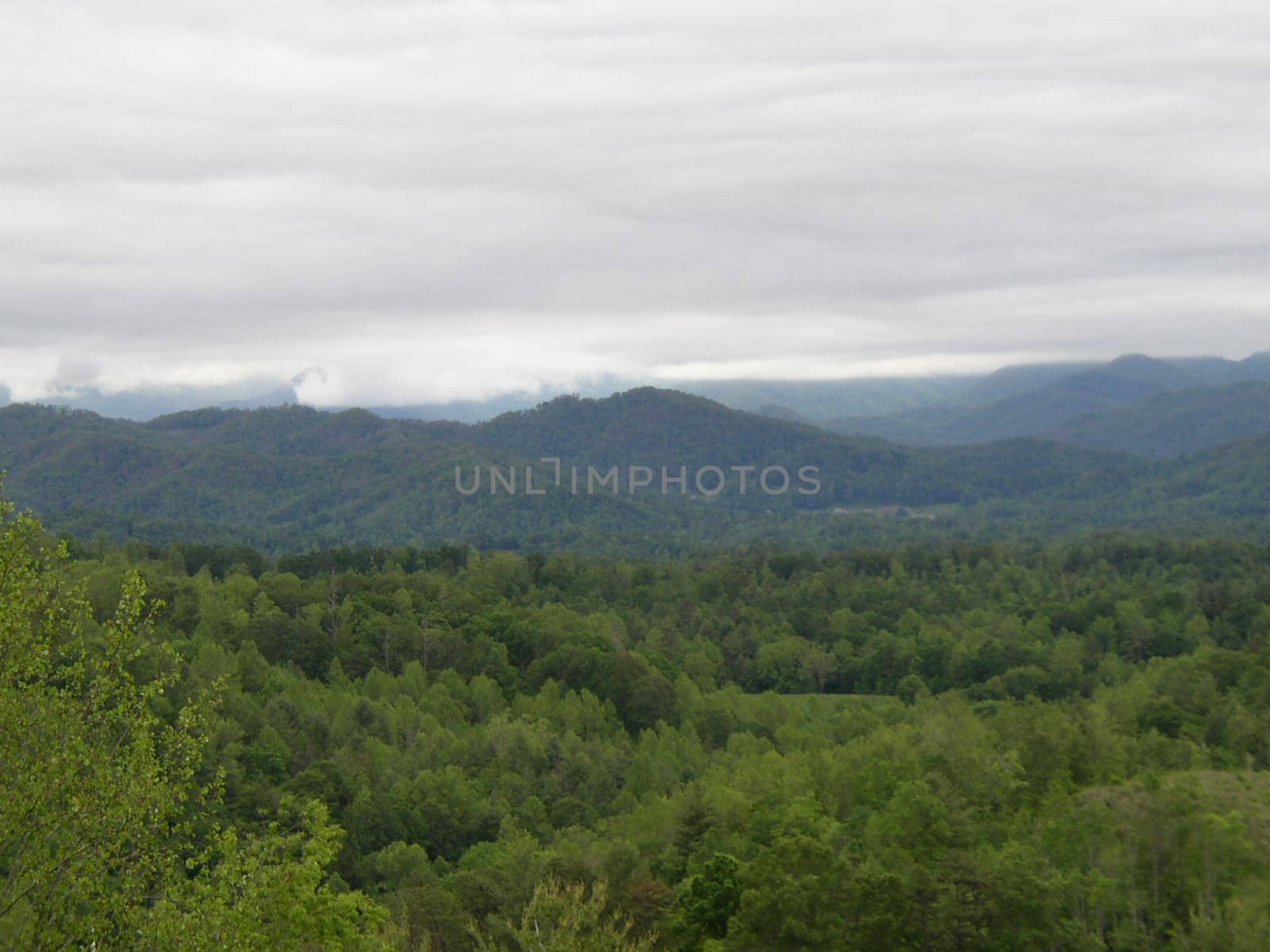 Blue Ridge Mountains, North Carolina