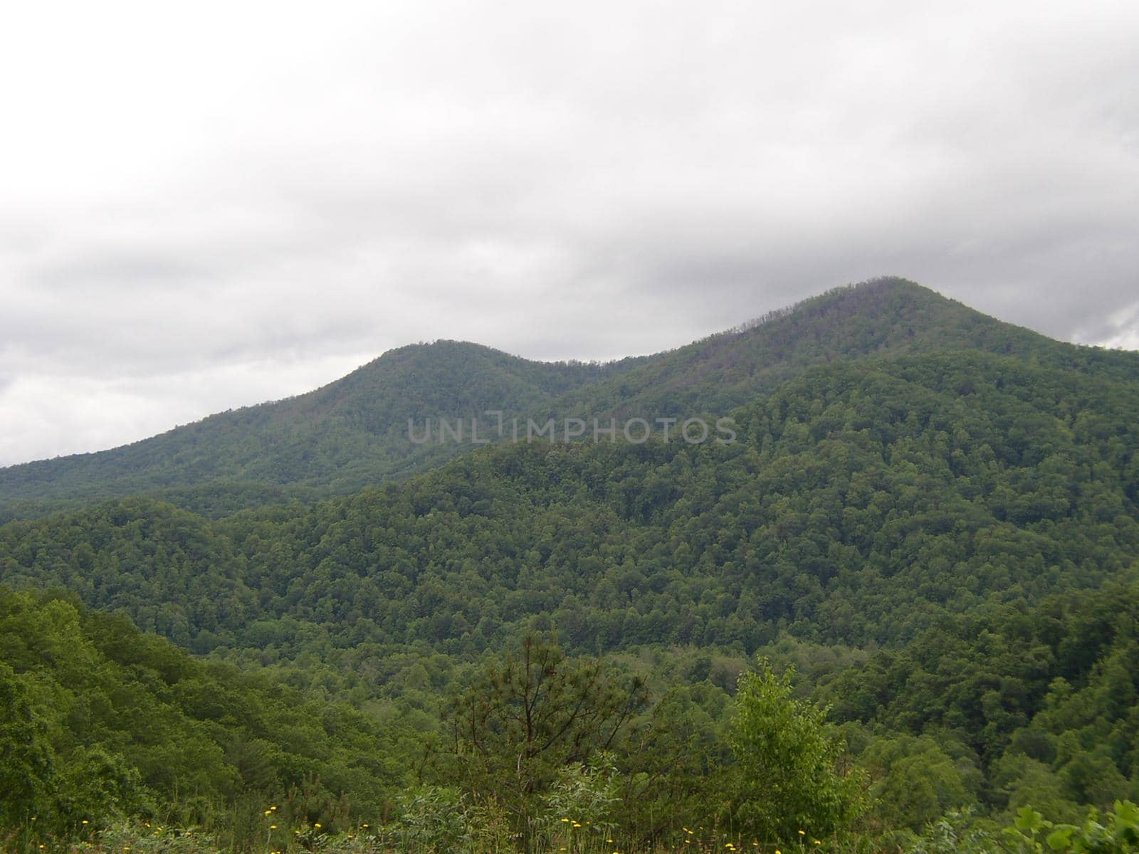 Blue Ridge Mountains, North Carolina