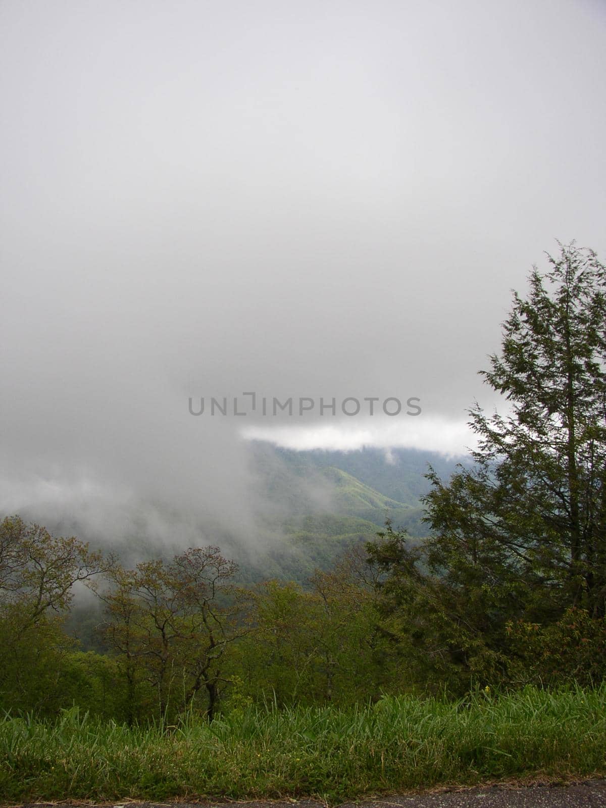 Blue Ridge Mountains, North Carolina