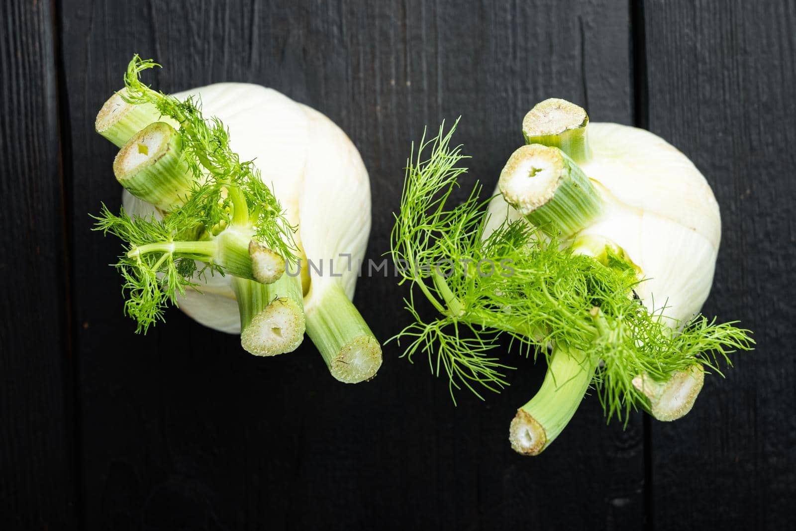 Fresh organic fennels, on black wooden table, flat lay