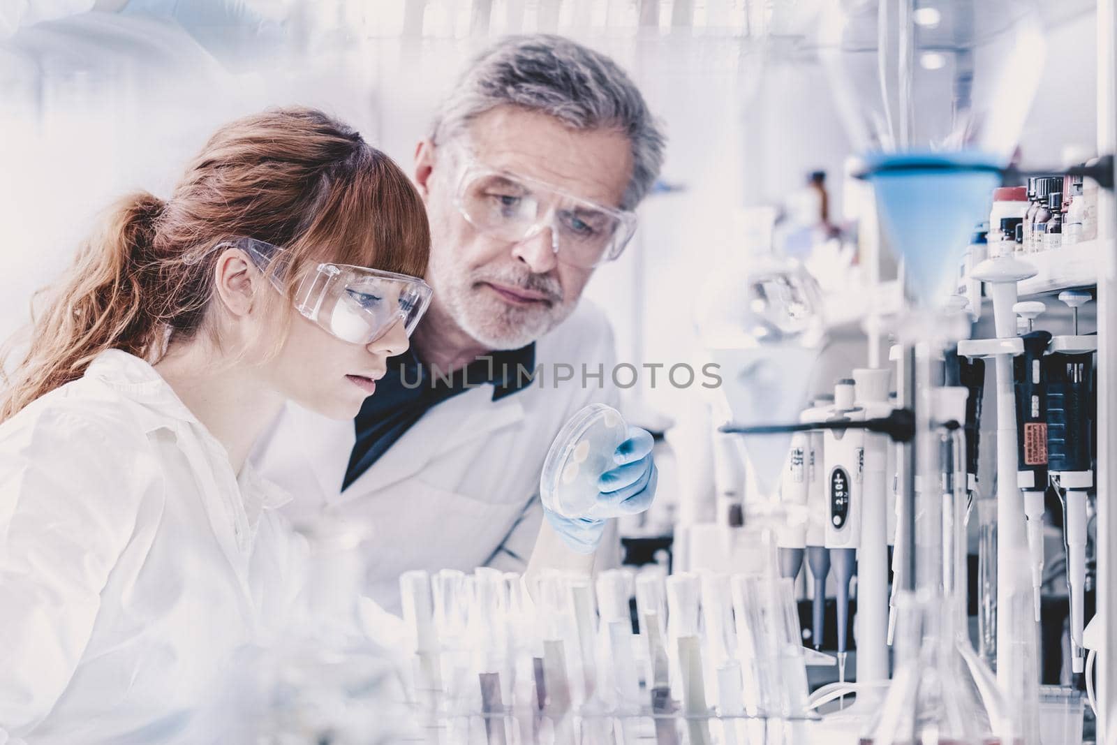 Attractive young female scientist and her senior male supervisor looking at the cell colony grown in the petri dish in the life science research laboratory.