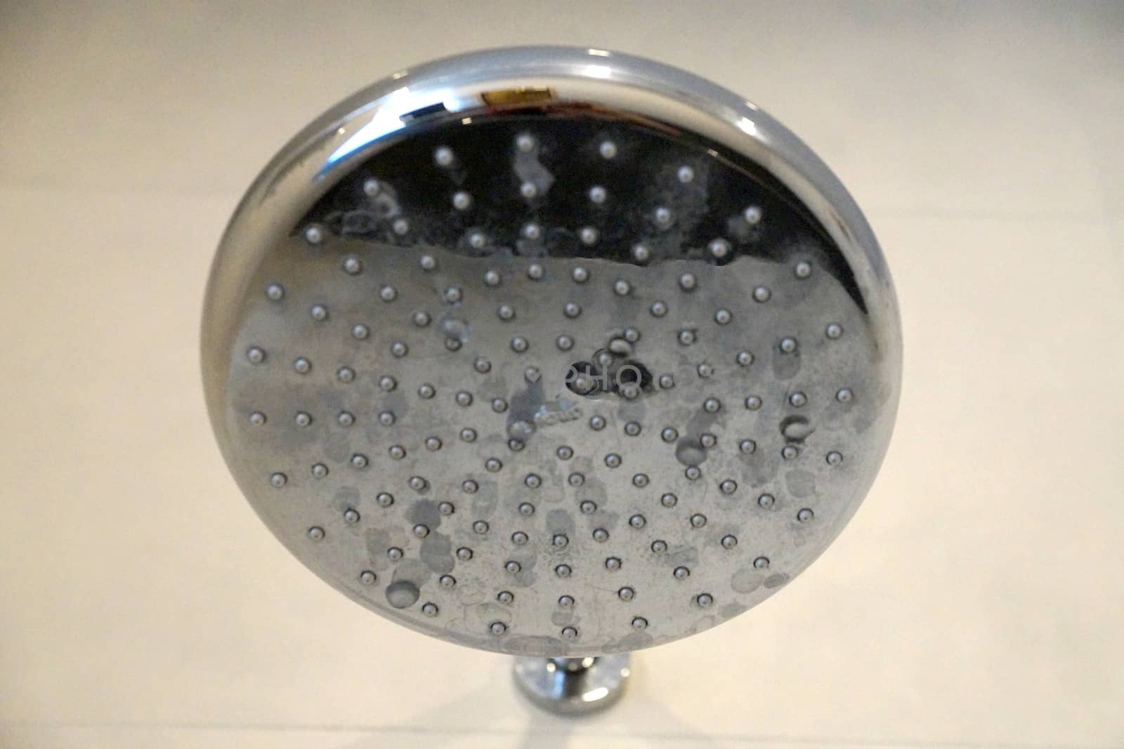 included shower head close up by Annado