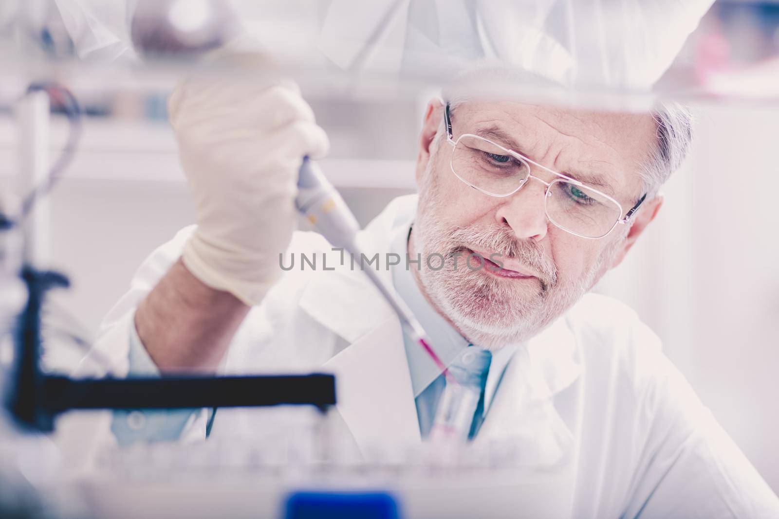 Senior life scientist researching in laboratory. Life sciences comprise fields of science that involve the scientific study of living organisms.