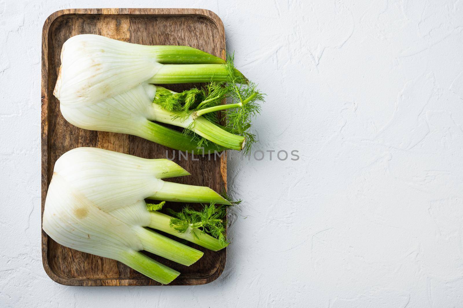 Fennel bulbs, on white textured background, flat lay with space for text