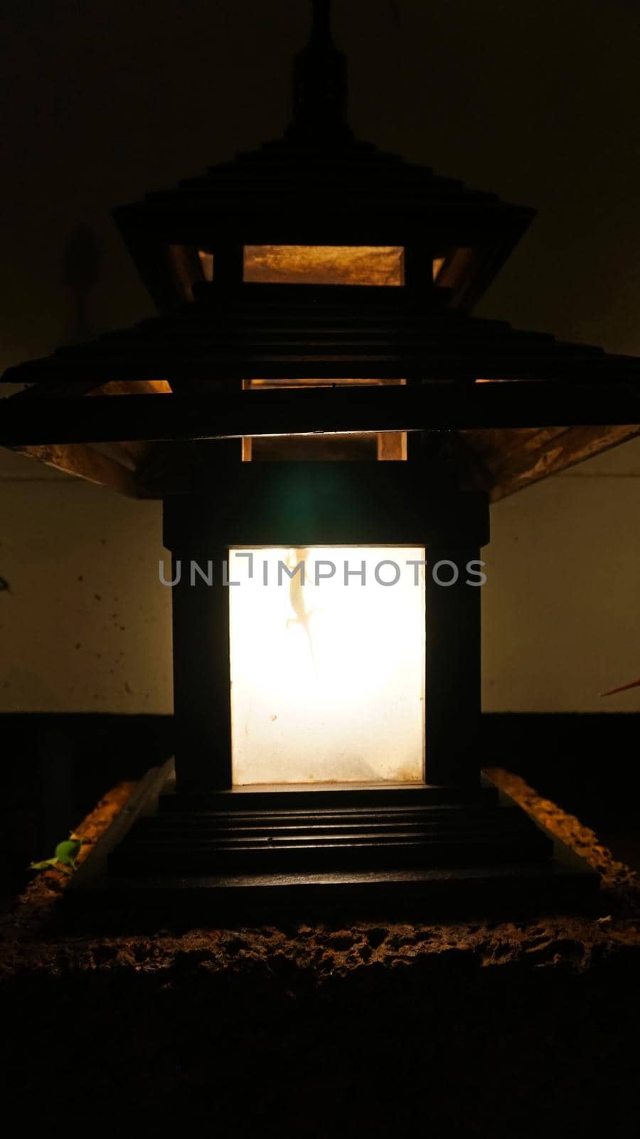 A gecko lizard hid inside a night lamp. The lamp is turned on, the shadow of the gecko creates a black silhouette. Street night lamp. Asia, Chang Island, Thailand.