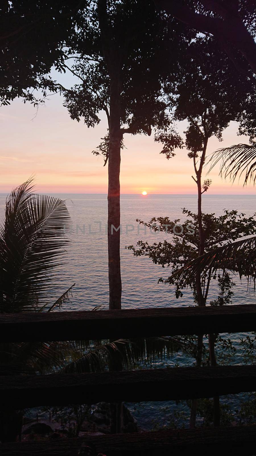 The sunset with views of the sea and palm trees. The sun goes below the horizon. An orange ray of sunlight is reflected on the water. Palm trees stand near the sea. Small clouds float across the sky.