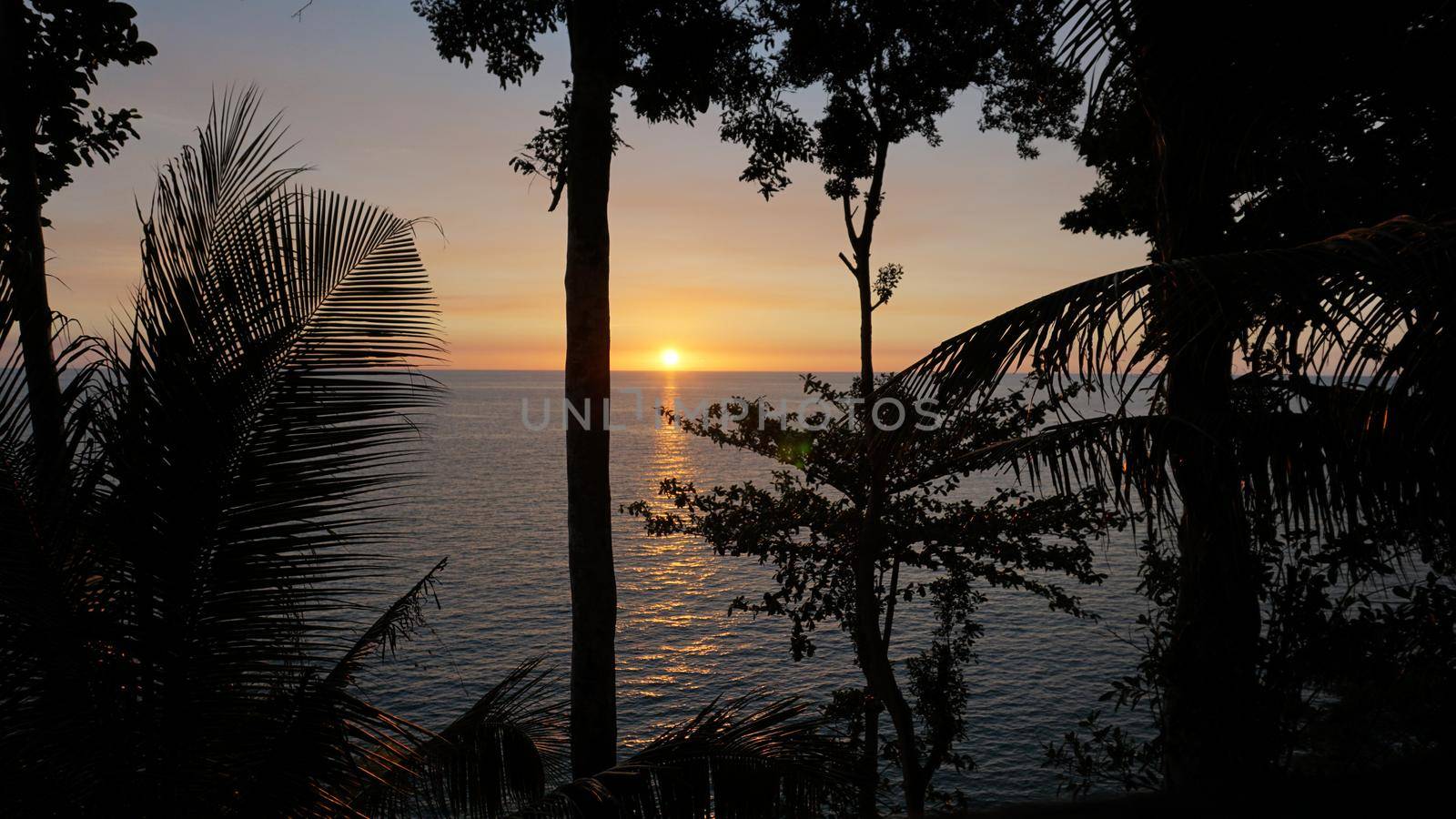 The sunset with views of the sea and palm trees. The sun goes below the horizon. An orange ray of sunlight is reflected on the water. Palm trees stand near the sea. Small clouds float across the sky.