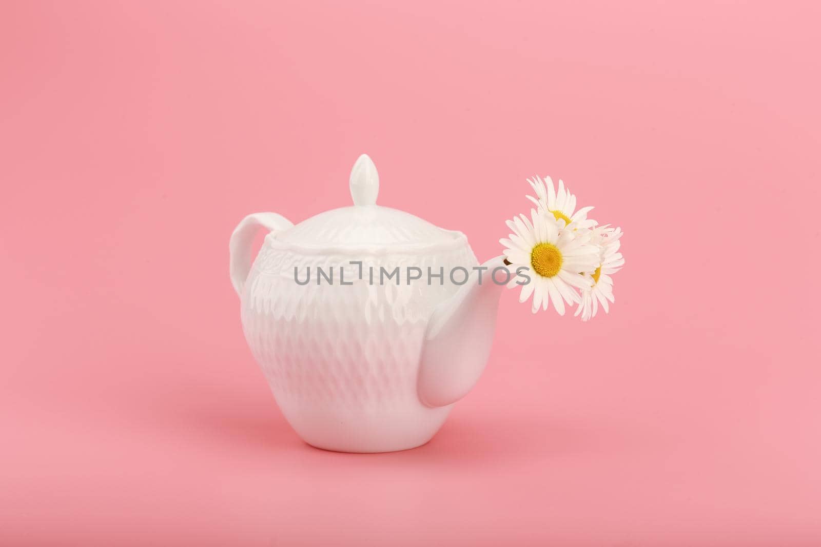 White porcelain tea pot with camomile flowers on pink background. Creative concept of herbal tea, wellbeing and healthy lifestyle