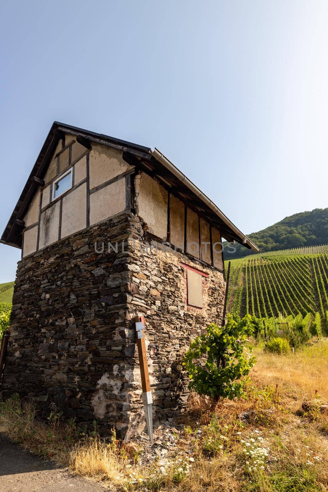 Old cottage in the vineyards at river Moselle by reinerc