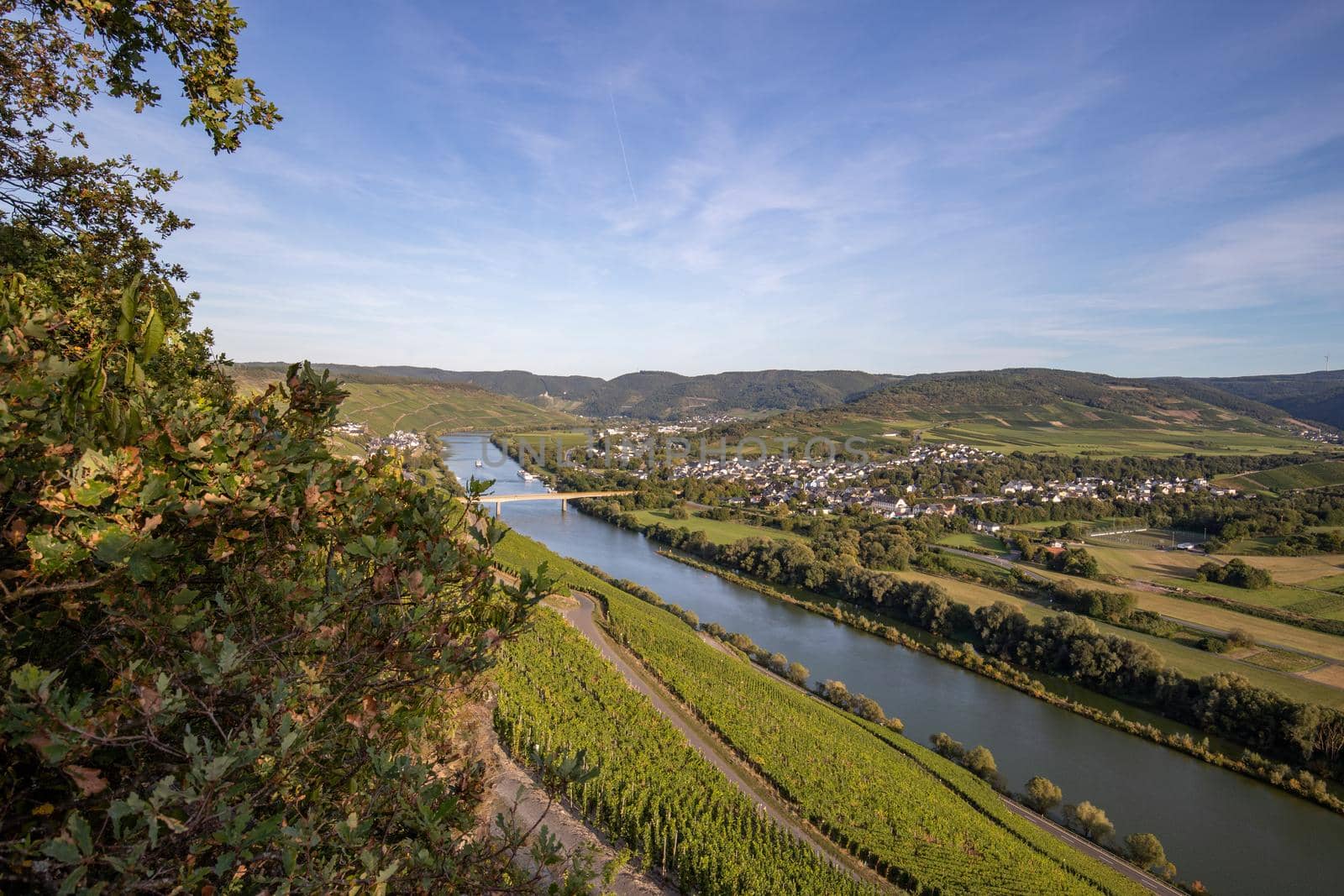 View of the Moselle valley at Brauneberg by reinerc