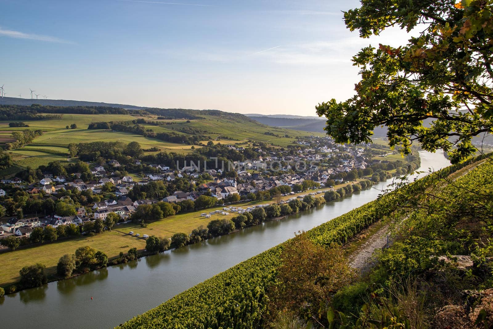 Panoramic view of the Moselle valley with the wine village Brauneberg in the background on a sunny autumn day