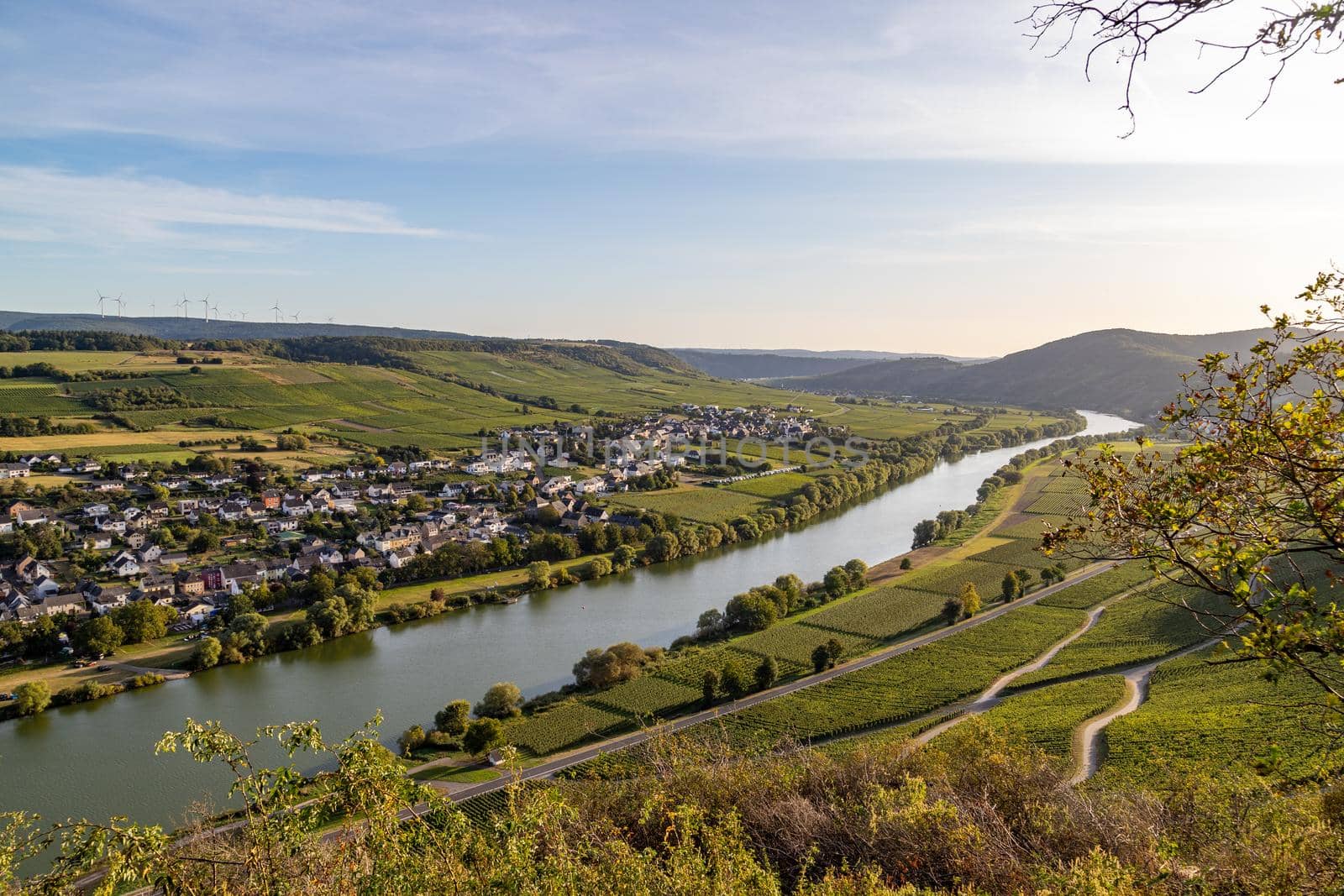 Panoramic view of the Moselle valley with the wine village Brauneberg in the background on a sunny autumn day