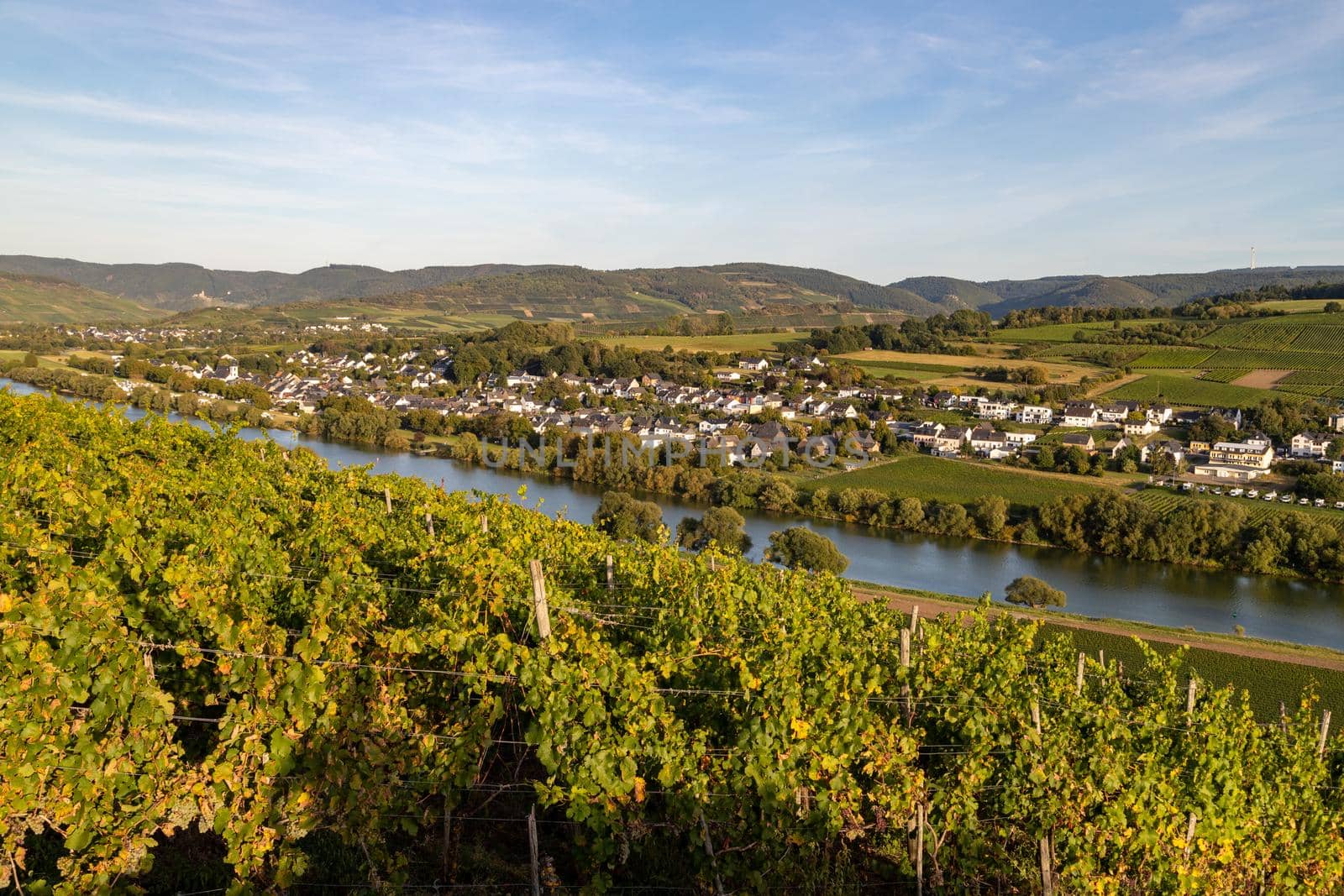 View of the Moselle valley at Brauneberg by reinerc