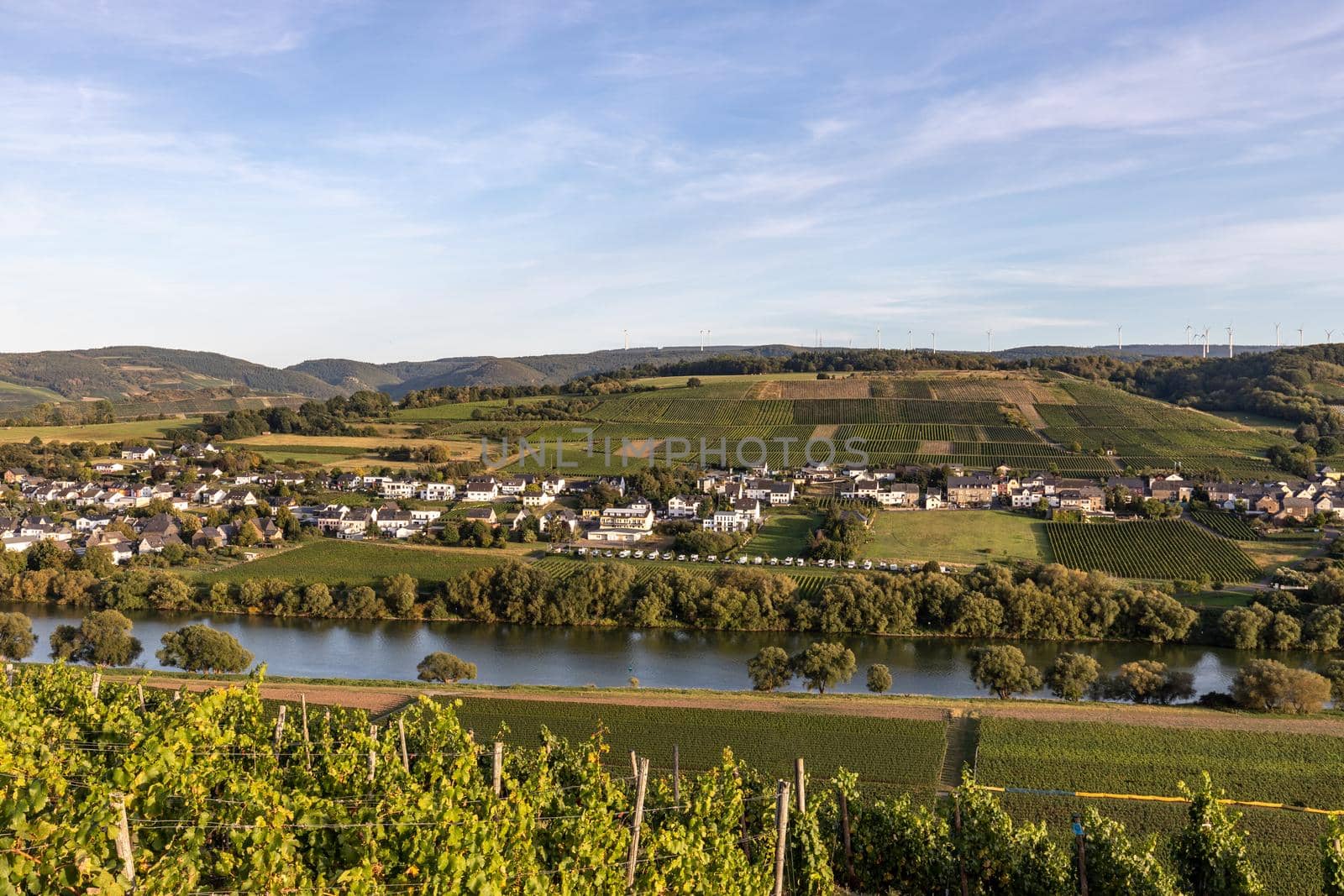 View of the Moselle valley at Brauneberg by reinerc