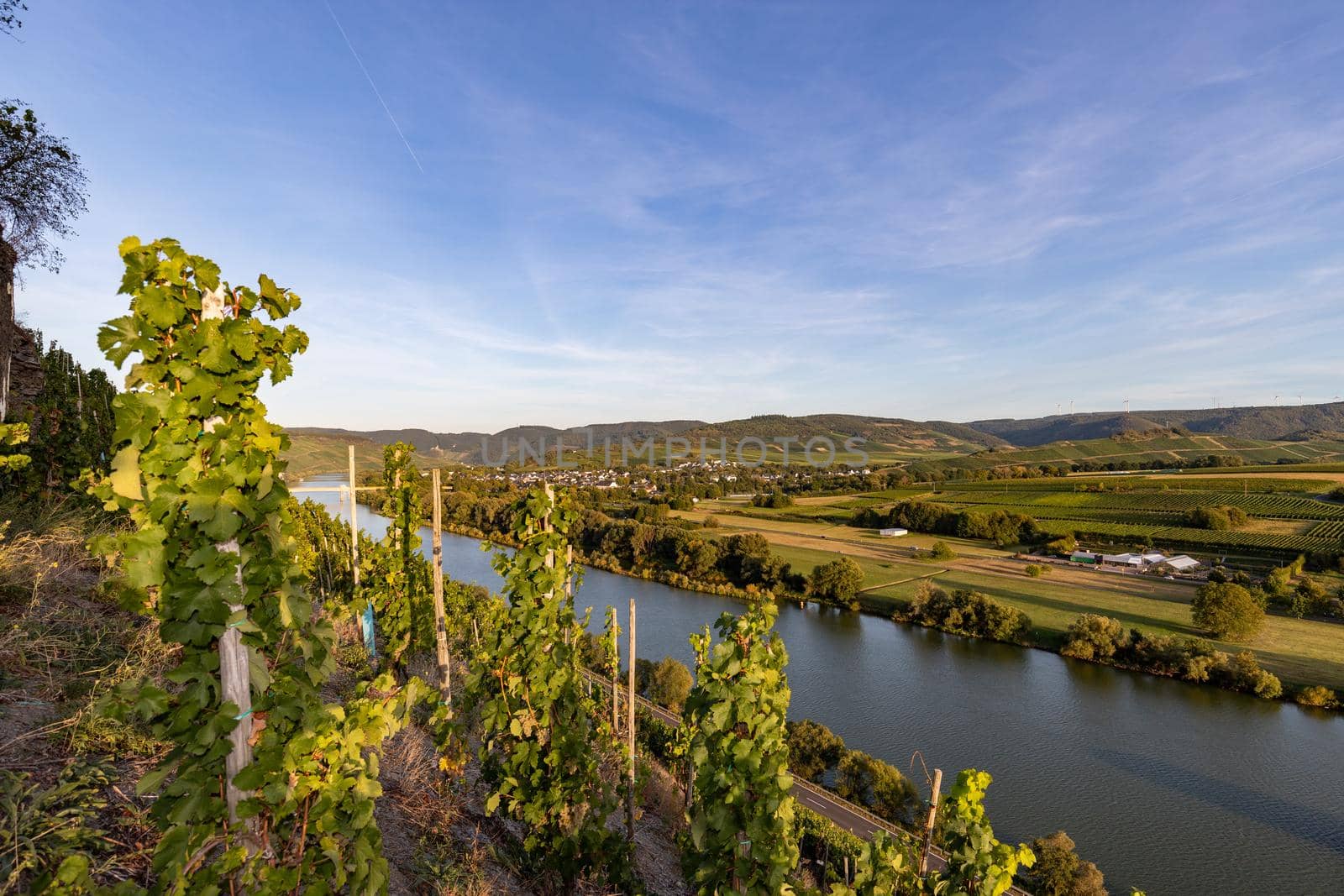 Panoramic view of the Moselle valley with the wine village Brauneberg in the background on a sunny autumn day