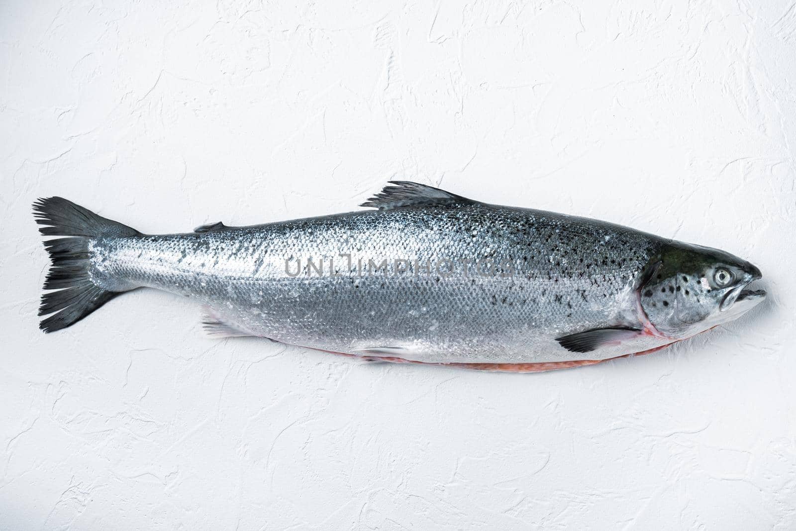 Fresh raw salmon red fish on white background, flat lay with space for text.