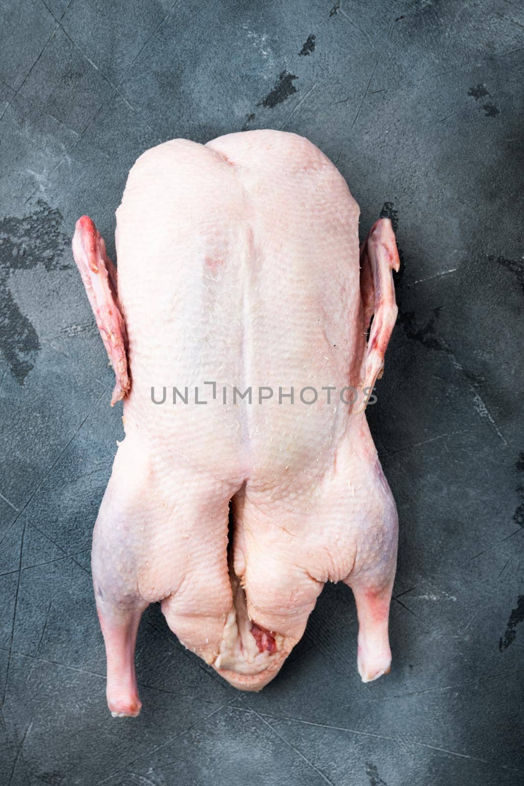 Whole raw goose meat on grey background, top view.
