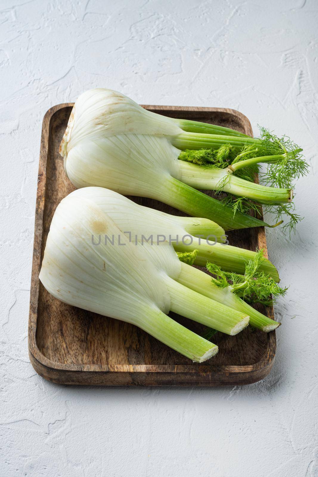 Genuine fresh raw fennel, on white textured background